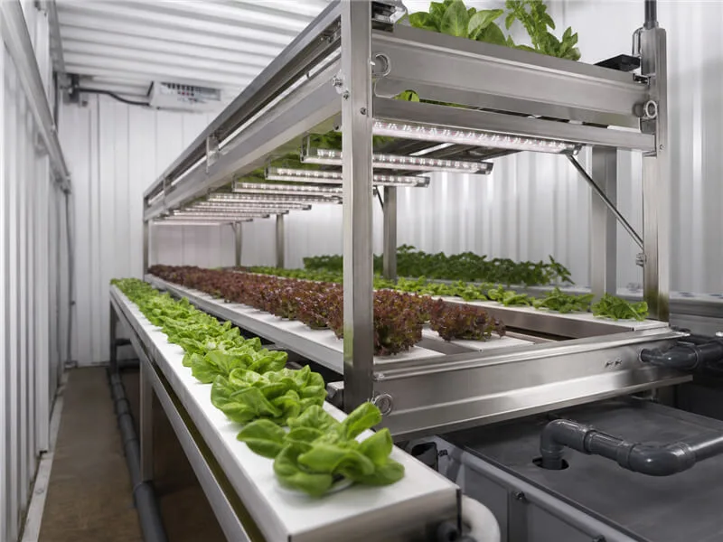 Nft hydroponic rack