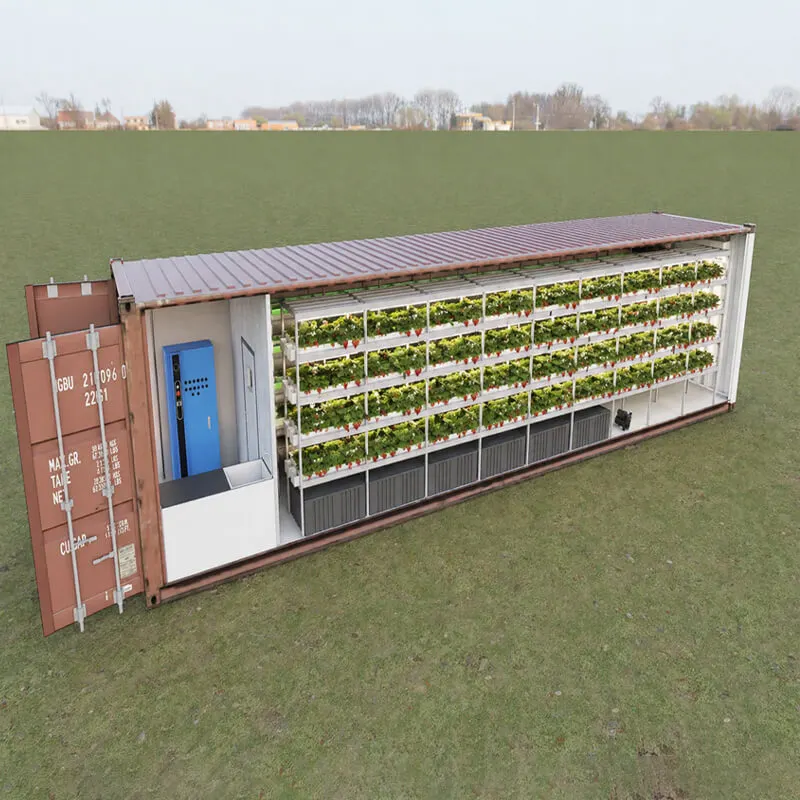 Aurlgrow strawberry container farm