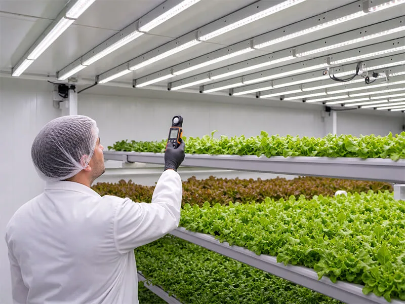 Led light testing during Aurlgrow container farm production