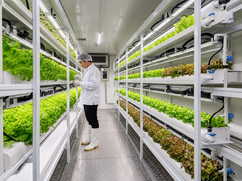 Nft hydroponic rack