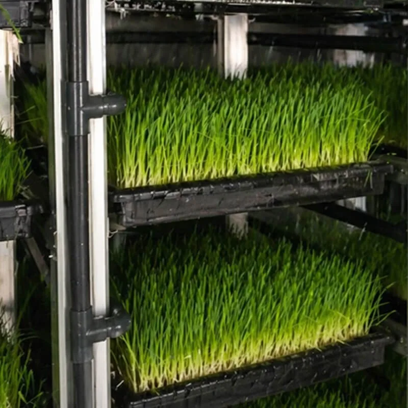 Aurlgrow fodder container farm