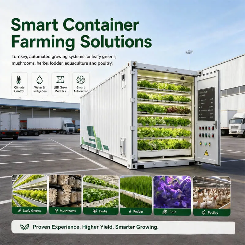 Aurlgrow leafy greens container farm