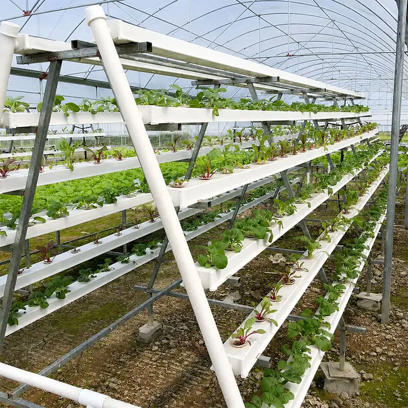 Aurlgrow nft hydroponic rack